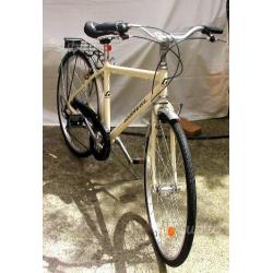 Bicicletta da uomo in alluminio