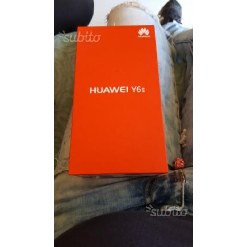 Huawei y6